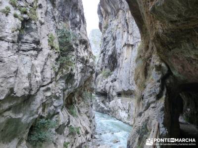 Ruta del Cares - Garganta Divina - Parque Nacional de los Picos de Europa;gente senderista